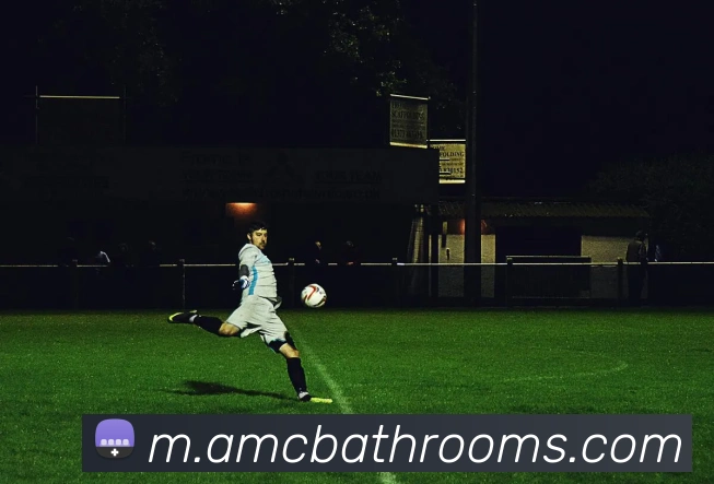 AI Risk Control